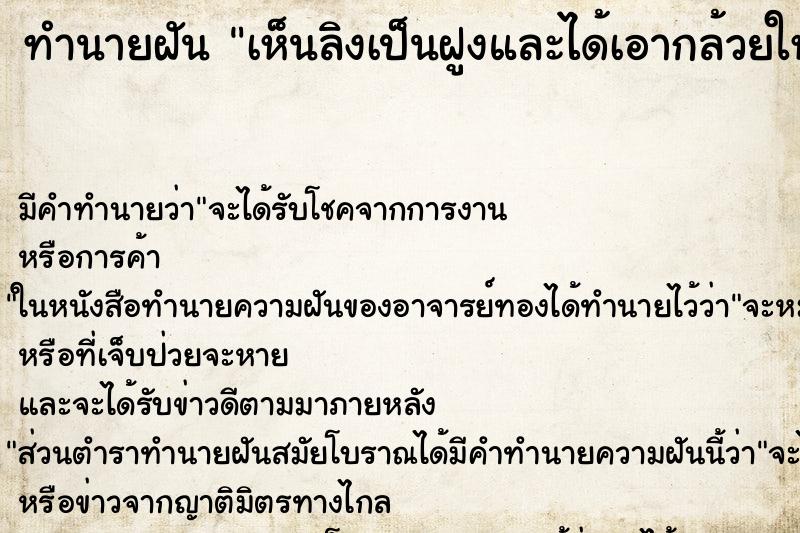 ทำนายฝัน เห็นลิงเป็นฝูงและได้เอากล้วยให้ลิงกิน