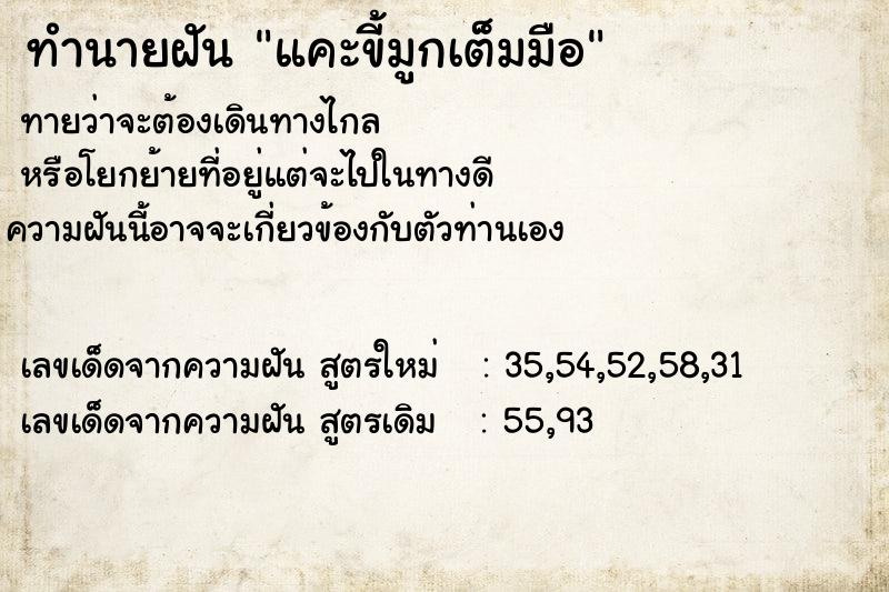 ทำนายฝันแคะขี้มูกเต็มมือ ทำนายฝันทำนายฝันแคะขี้มูกเต็มมือ