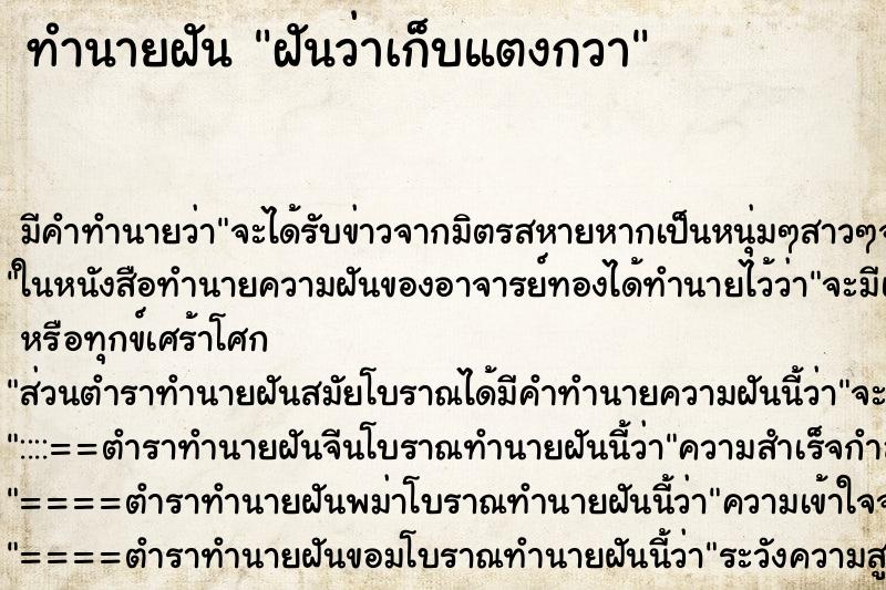 ทำนายฝัน ฝันว่าเก็บแตงกวา ทำนายฝัน ฝันว่าเก็บแตงกวา