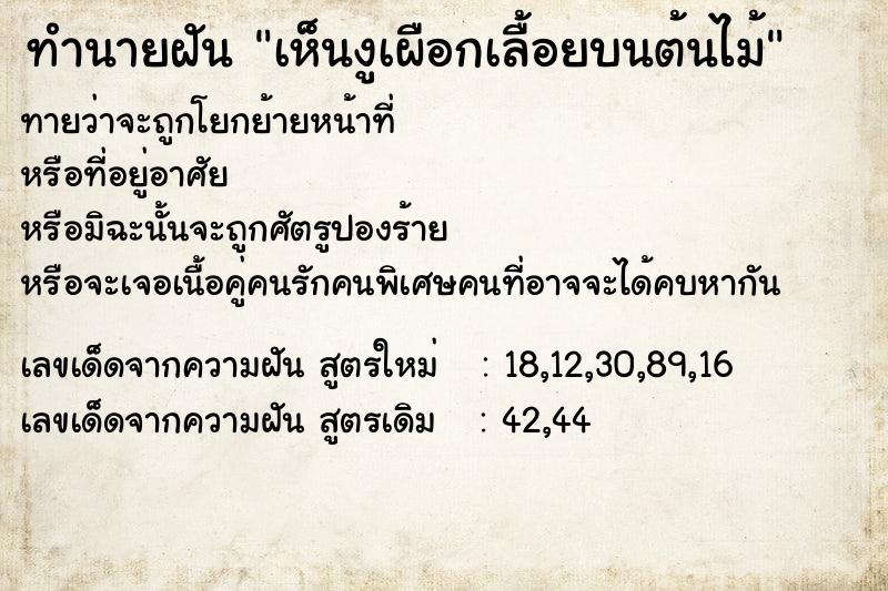 ทำนายฝันเห็นงูเผือกเลื้อยบนต้นไม้ ทำนายฝันทำนายฝันเห็นงูเผือกเลื้อยบนต้นไม้