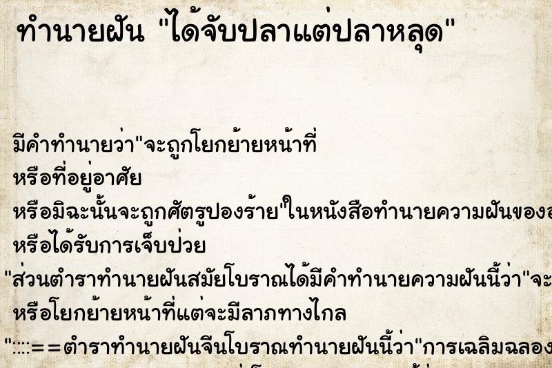 ทำนายฝัน ได้จับปลาแต่ปลาหลุด ทำนายฝัน ได้จับปลาแต่ปลาหลุด