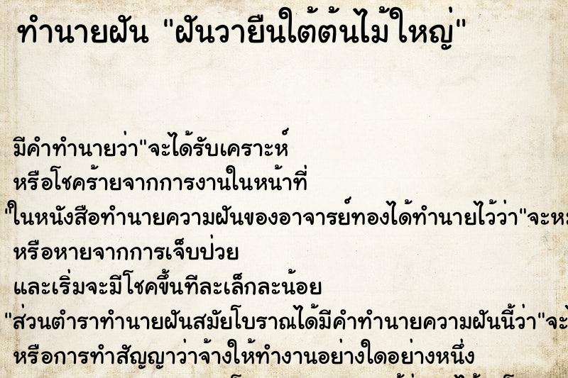 ทำนายฝันฝันวายืนใต้ต้นไม้ใหญ่ ทำนายฝันทำนายฝันฝันวายืนใต้ต้นไม้ใหญ่