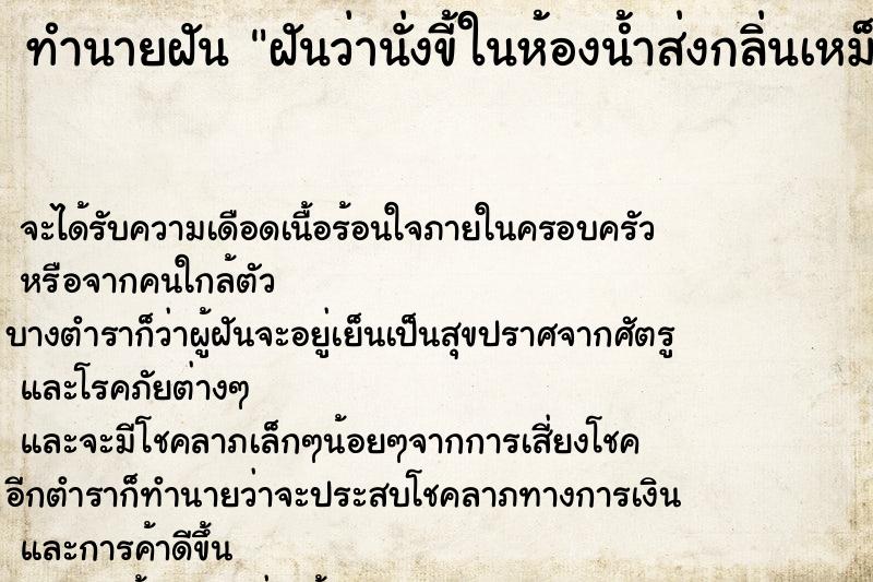 ทำนายฝันทำนายฝันฝันว่านั่งขี้ในห้องน้ำส่งกลิ่นเหม็นมาก