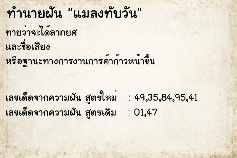 ทำนายฝัน แมลงทับวัน ทำนายฝัน แมลงทับวัน