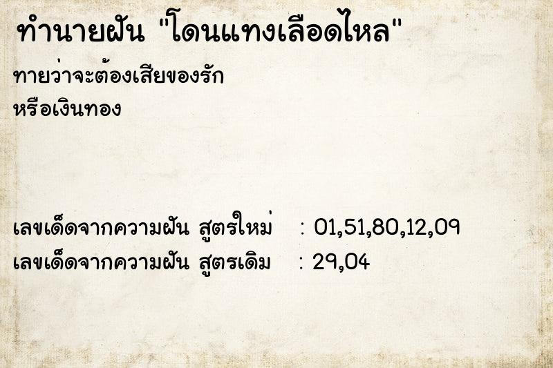 ทำนายฝันโดนแทงเลือดไหล ทำนายฝันทำนายฝันโดนแทงเลือดไหล