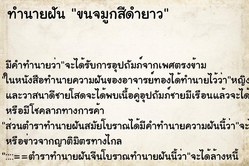 ทำนายฝันทำนายฝันขนจมูกสีดำยาว