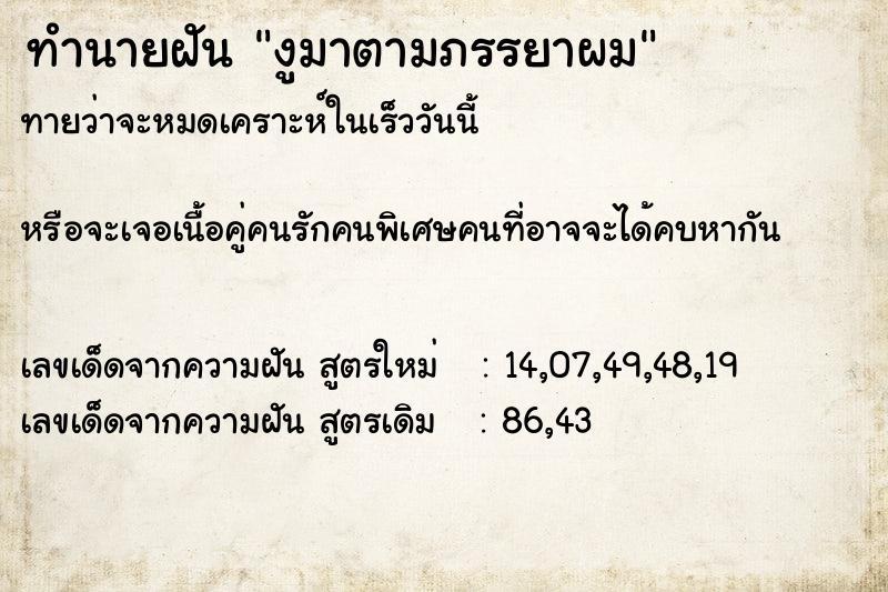 ทำนายฝันงูมาตามภรรยาผม ทำนายฝันทำนายฝันงูมาตามภรรยาผม