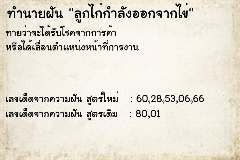 ทำนายฝันลูกไก่กำลังออกจากไข่ ทำนายฝันทำนายฝันลูกไก่กำลังออกจากไข่