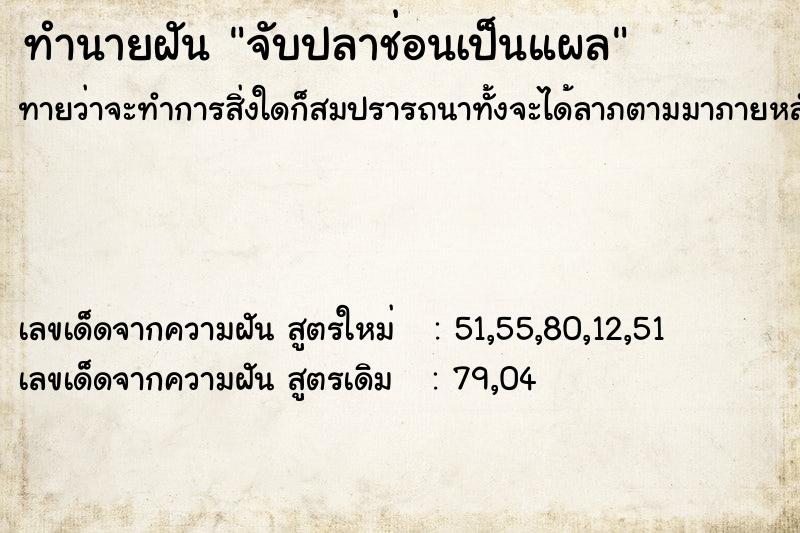ทำนายฝัน จับปลาช่อนเป็นแผล ทำนายฝัน จับปลาช่อนเป็นแผล