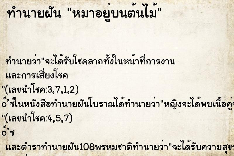 ทำนายฝันทำนายฝันหมาอยู่บนต้นไม้