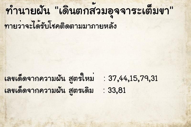 ทำนายฝันทำนายฝันเดินตกส้วมอุจจาระเต็มขา
