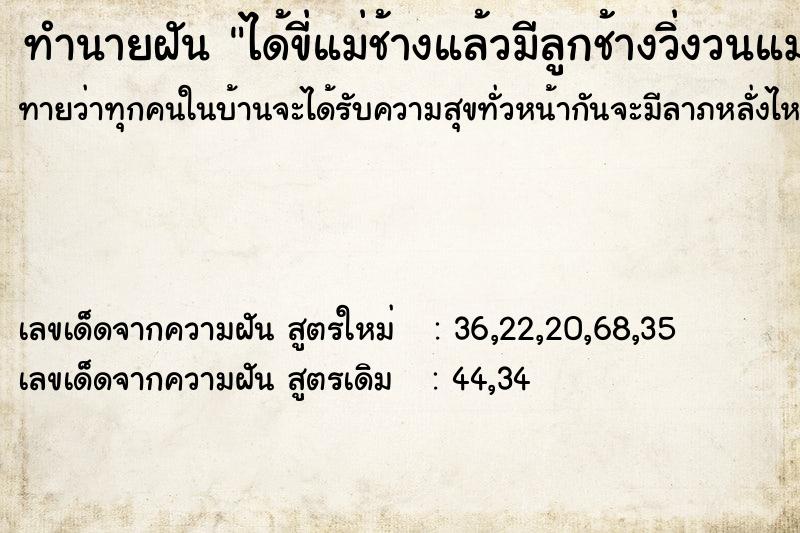 ทำนายฝันทำนายฝันได้ขี่แม่ช้างแล้วมีลูกช้างวิ่งวนแม่ช้างไปมา