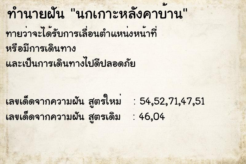 ทำนายฝันนกเกาะหลังคาบ้าน ทำนายฝันทำนายฝันนกเกาะหลังคาบ้าน