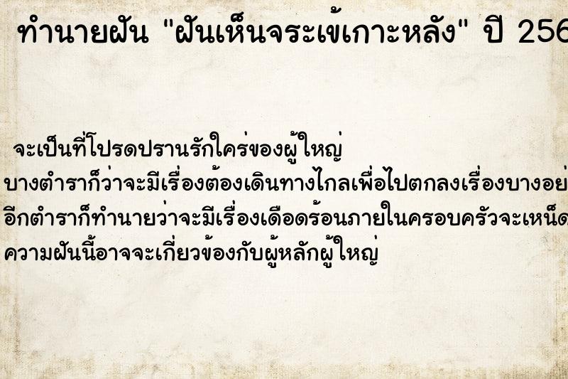 ทำนายฝันฝันเห็นจระเข้เกาะหลัง ทำนายฝันทำนายฝันฝันเห็นจระเข้เกาะหลัง