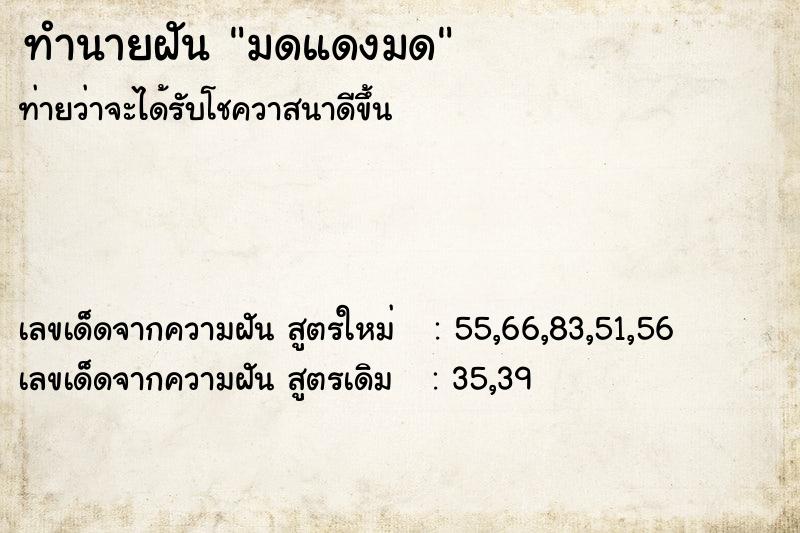 ทำนายฝัน มดแดงมด ตำราโบราณ แม่นที่สุดในโลก