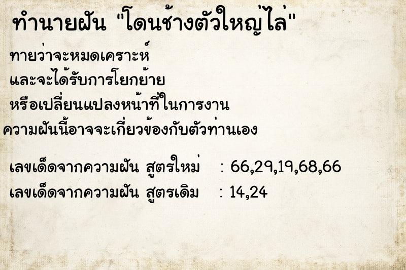 ทำนายฝัน โดนช้างตัวใหญ่ไล่ ทำนายฝัน โดนช้างตัวใหญ่ไล่