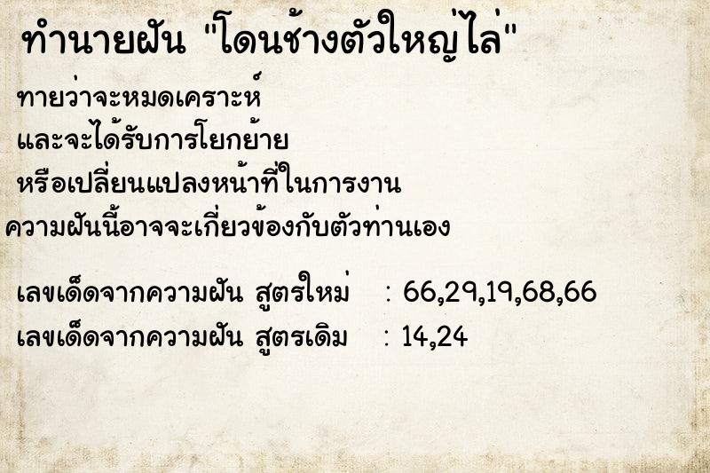 ทำนายฝัน โดนช้างตัวใหญ่ไล่ ตำราโบราณ แม่นที่สุดในโลก