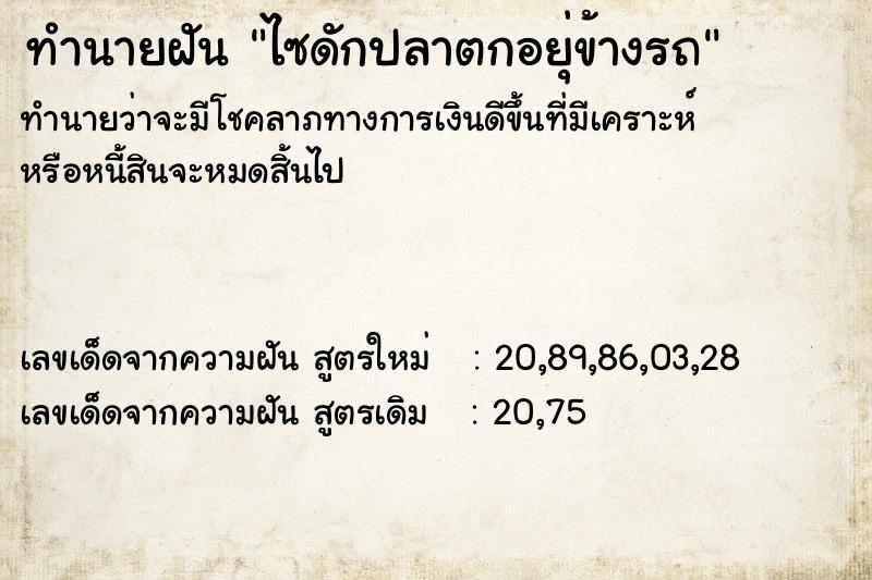 ทำนายฝันทำนายฝันไซดักปลาตกอยุ่ข้างรถ