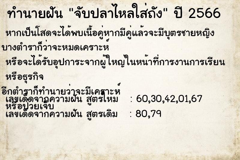 ทำนายฝันจับปลาไหลใส่ถัง ทำนายฝันทำนายฝันจับปลาไหลใส่ถัง