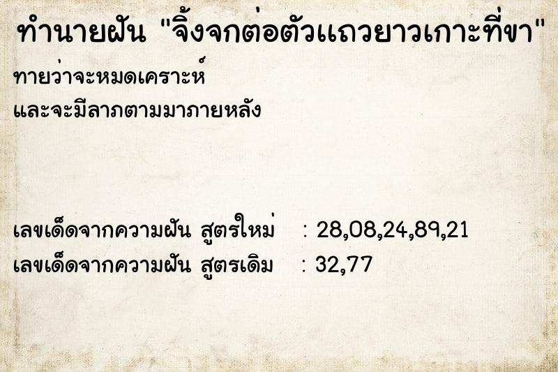 ทำนายฝันจิ้งจกต่อตัวเเถวยาวเกาะที่ขา ทำนายฝันทำนายฝันจิ้งจกต่อตัวเเถวยาวเกาะที่ขา