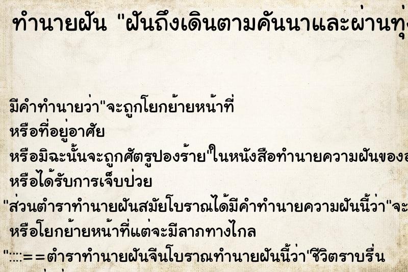 ทำนายฝันฝันถึงเดินตามคันนาและผ่านทุ่งข้าว ทำนายฝันทำนายฝันฝันถึงเดินตามคันนาและผ่านทุ่งข้าว