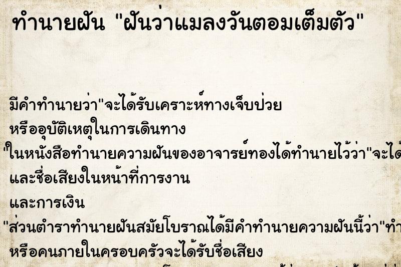 ทำนายฝัน ฝันว่าแมลงวันตอมเต็มตัว ทำนายฝัน ฝันว่าแมลงวันตอมเต็มตัว
