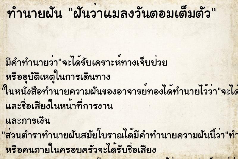 ทำนายฝัน ฝันว่าแมลงวันตอมเต็มตัว ตำราโบราณ แม่นที่สุดในโลก