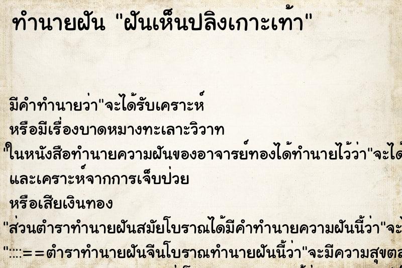 ทำนายฝัน ฝันเห็นปลิงเกาะเท้า ทำนายฝัน ฝันเห็นปลิงเกาะเท้า