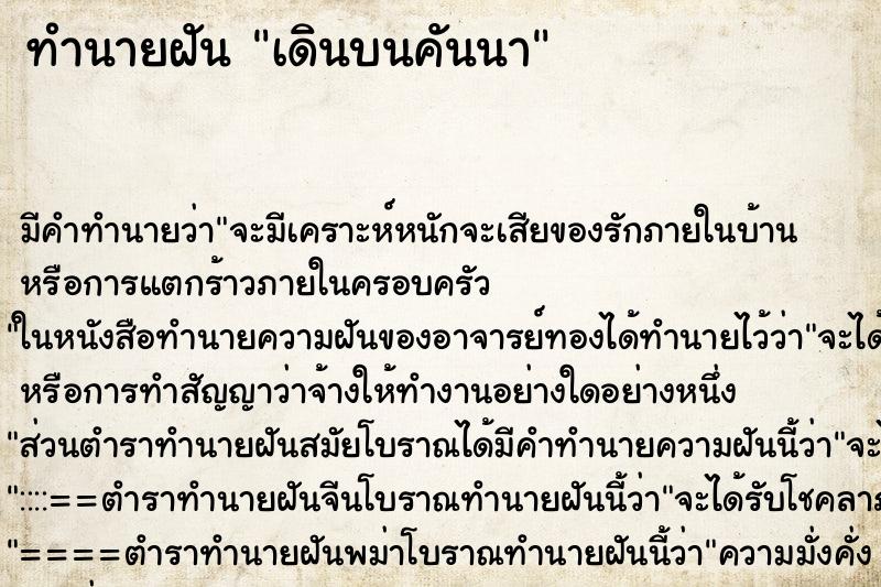ทำนายฝัน เดินบนคันนา ทำนายฝัน เดินบนคันนา