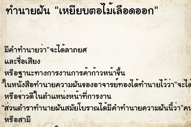 ทำนายฝัน เหยียบตอไม้เลือดออก ตำราโบราณ แม่นที่สุดในโลก