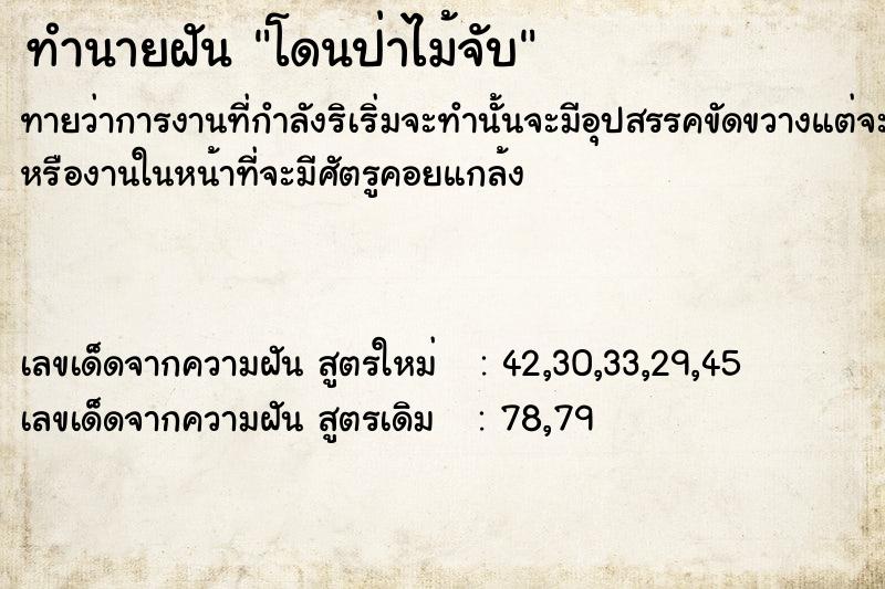 ทำนายฝันทำนายฝันโดนป่าไม้จับ