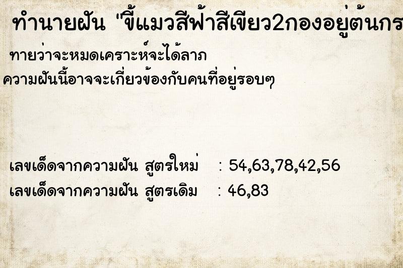 ทำนายฝันทำนายฝันขี้แมวสีฟ้าสีเขียว2กองอยู่ต้นกระบองเพชร
