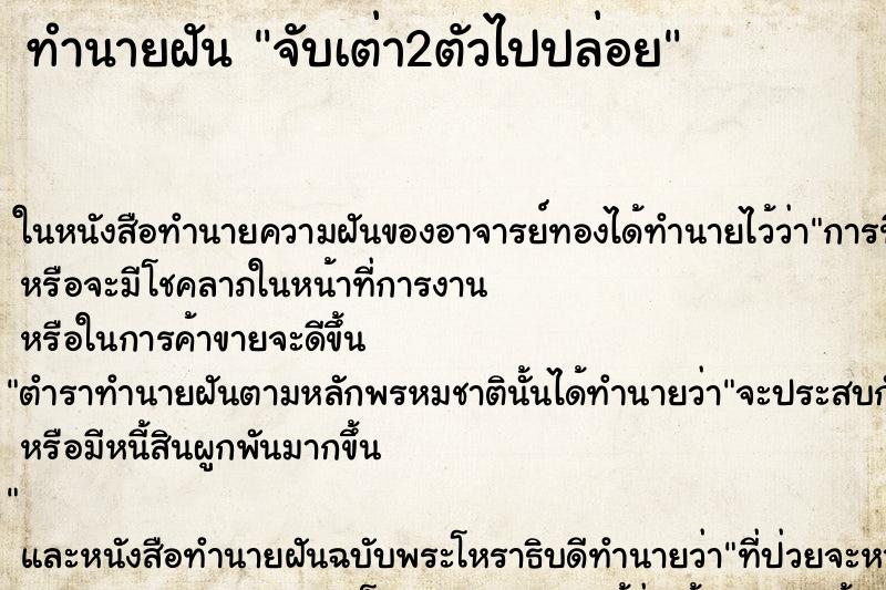 ทำนายฝันจับเต่า2ตัวไปปล่อย ทำนายฝันทำนายฝันจับเต่า2ตัวไปปล่อย