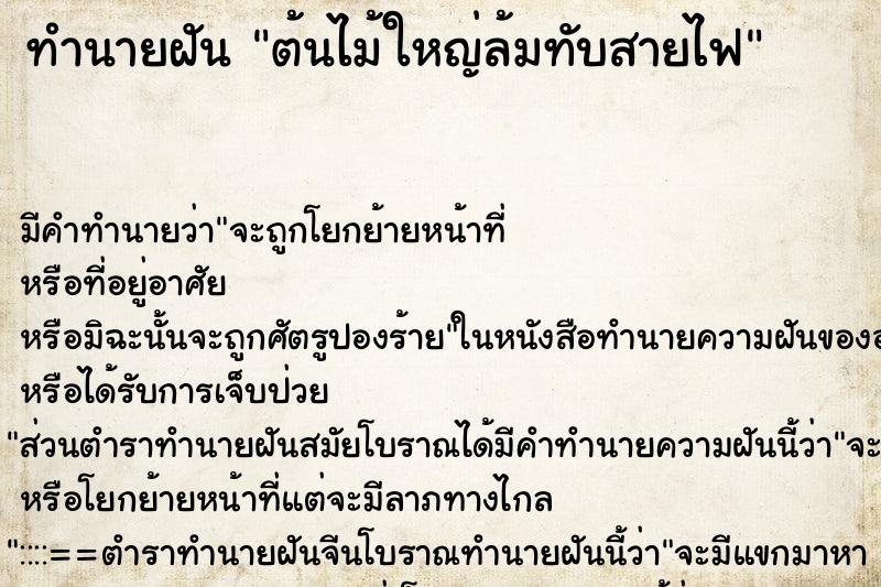 ทำนายฝัน ต้นไม้ใหญ่ล้มทับสายไฟ ทำนายฝัน ต้นไม้ใหญ่ล้มทับสายไฟ