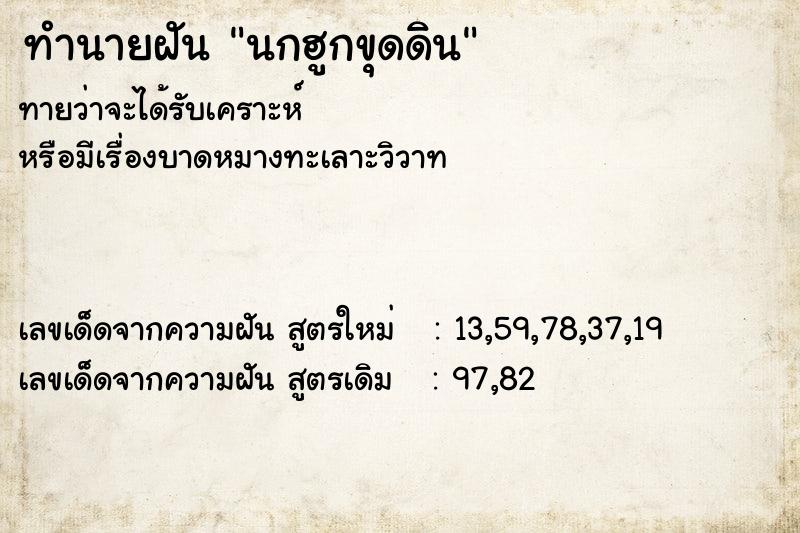 ทำนายฝันนกฮูกขุดดิน ทำนายฝันทำนายฝันนกฮูกขุดดิน