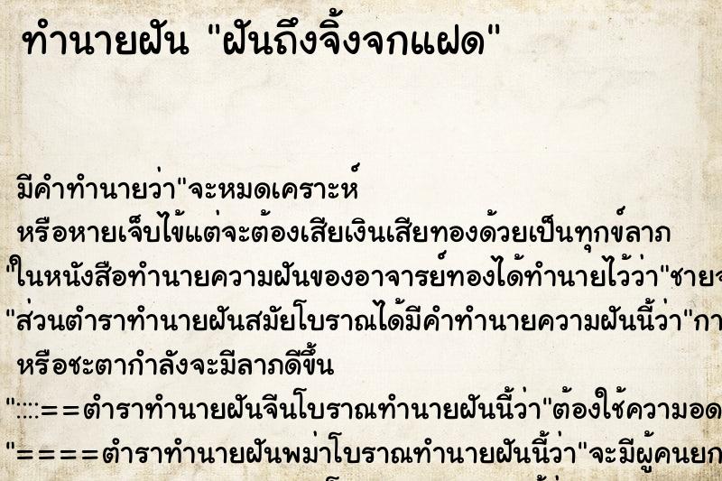 ทำนายฝัน ฝันถึงจิ้งจกแฝด ทำนายฝัน ฝันถึงจิ้งจกแฝด