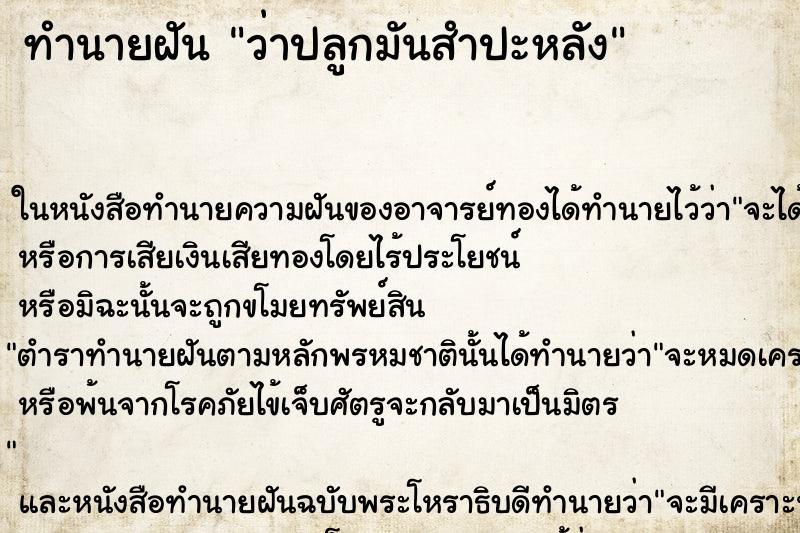 ทำนายฝัน ว่าปลูกมันสำปะหลัง ทำนายฝัน ว่าปลูกมันสำปะหลัง