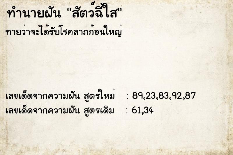 ทำนายฝันสัตว์ฉี่ใส ทำนายฝันทำนายฝันสัตว์ฉี่ใส