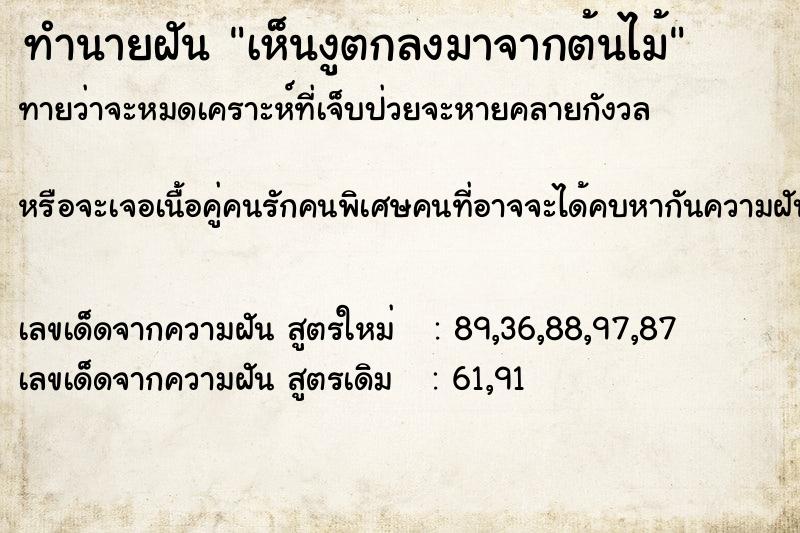 ทำนายฝันเห็นงูตกลงมาจากต้นไม้ ทำนายฝันทำนายฝันเห็นงูตกลงมาจากต้นไม้