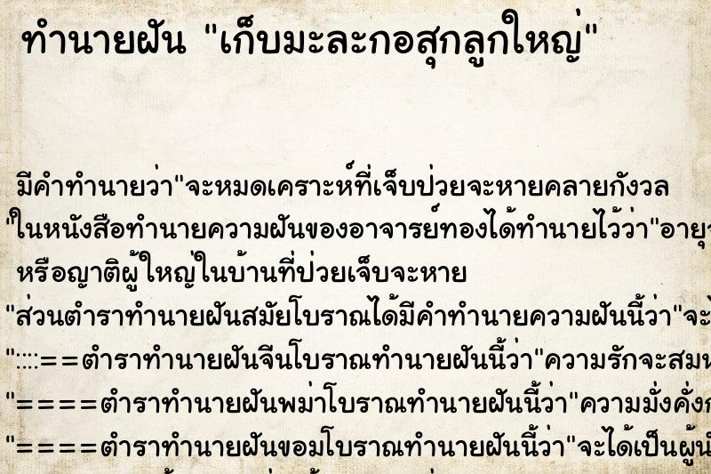 ทำนายฝัน เก็บมะละกอสุกลูกใหญ่ ตำราโบราณ แม่นที่สุดในโลก