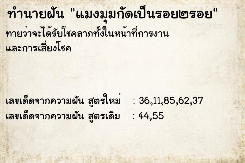 ทำนายฝันแมงมุมกัดเป็นรอย๒รอย ทำนายฝันทำนายฝันแมงมุมกัดเป็นรอย๒รอย