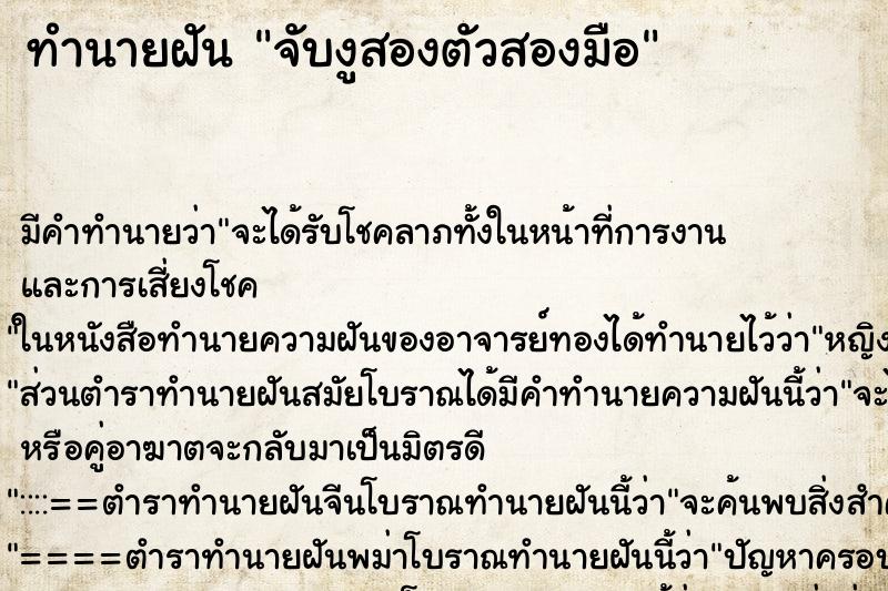 ทำนายฝันจับงูสองตัวสองมือ ทำนายฝันทำนายฝันจับงูสองตัวสองมือ