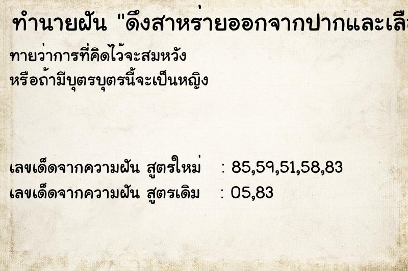 ทำนายฝันดึงสาหร่ายออกจากปากและเลือดออกตามมา ทำนายฝันทำนายฝันดึงสาหร่ายออกจากปากและเลือดออกตามมา