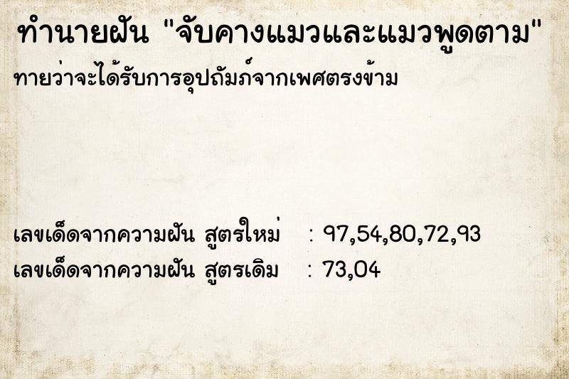 ทำนายฝันจับคางแมวและแมวพูดตาม ทำนายฝันทำนายฝันจับคางแมวและแมวพูดตาม