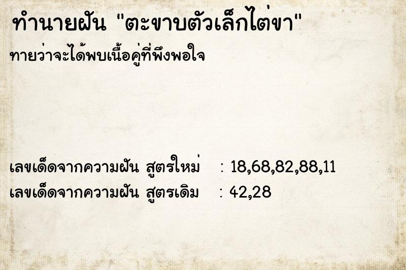 ทำนายฝันทำนายฝันตะขาบตัวเล็กไต่ขา