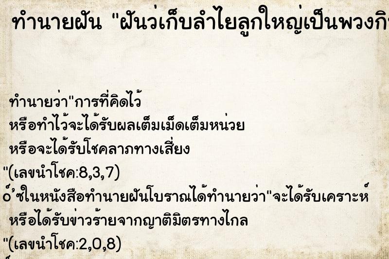 ทำนายฝัน ฝันว่เก็บลำไยลูกใหญ่เป็นพวงกิน ทำนายฝัน ฝันว่เก็บลำไยลูกใหญ่เป็นพวงกิน