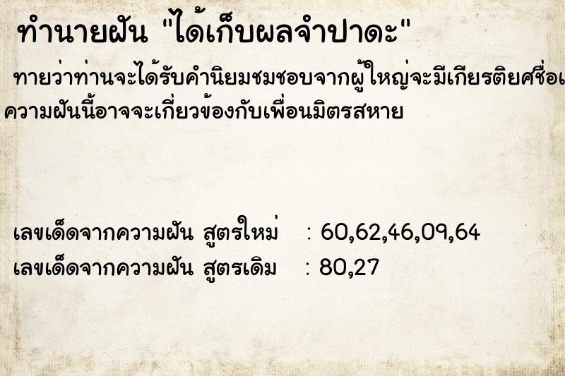 ทำนายฝันทำนายฝันได้เก็บผลจำปาดะ