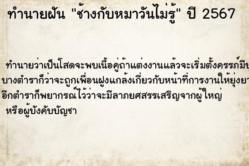 ทำนายฝันช้างกับหมาวันไม่รู้ ทำนายฝันทำนายฝันช้างกับหมาวันไม่รู้