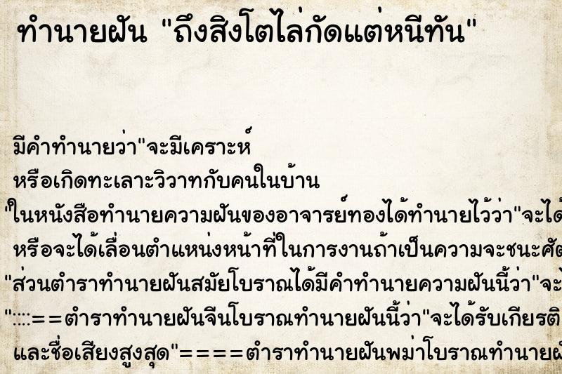 ทำนายฝัน ถึงสิงโตไล่กัดแต่หนีทัน ทำนายฝัน ถึงสิงโตไล่กัดแต่หนีทัน