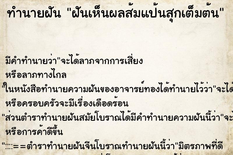 ทำนายฝัน ฝันเห็นผลส้มแป้นสุกเต็มต้น